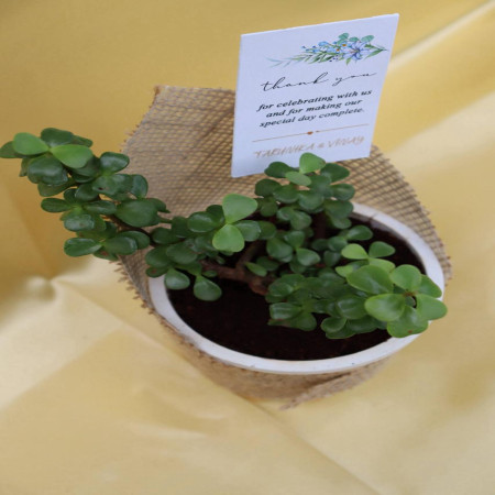 Jade Wrapped With Jute