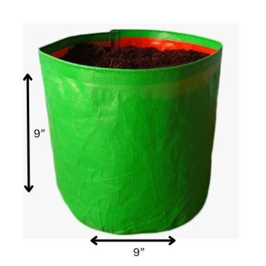 9*9 Grow Bag pack of 10